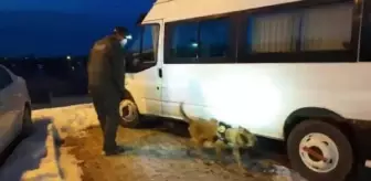 Van polisi minibüsü durdurdu, çantalardaki 51 kilo eroini 'Şila' buldu