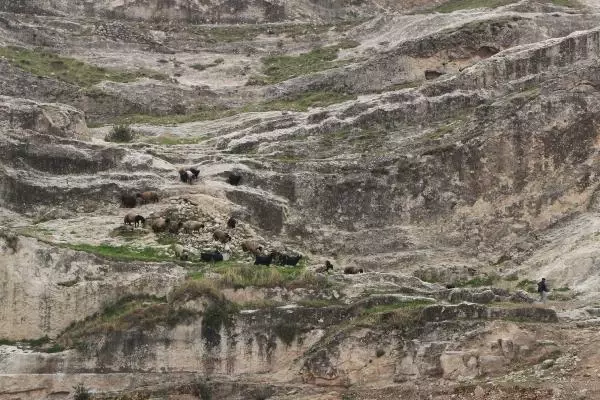 Son dakika haberleri! 6 bin yıllık Kasrik Boğazı, doğal güzelliğiyle ziyaretçilerini bekliyor Son dakika haberleri! 6 bin yıllık Kasrik Boğazı, doğal güzelliğiyle ziyaretçilerini bekliyor