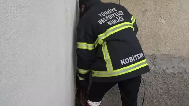 Son dakika haber: AFYONKARAHİSAR - Binaların arasına sıkışan köpeği itfaiye kurtardı Son dakika haber: AFYONKARAHİSAR - Binaların arasına sıkışan köpeği itfaiye kurtardı