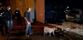 Alevlerin arasında kalan 'Bolka'yı itfaiye kurtardı