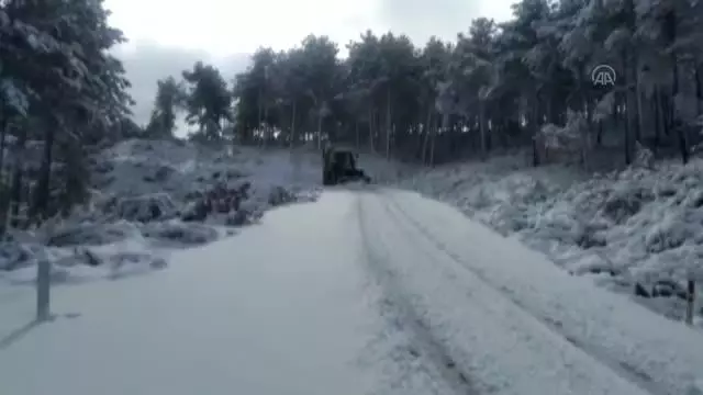BALIKESİR - Doğada aç kalan sokak hayvanları unutulmadı BALIKESİR - Doğada aç kalan sokak hayvanları unutulmadı