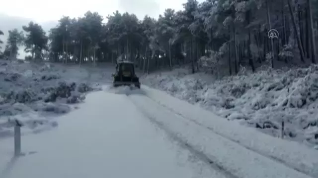 BALIKESİR - Doğada aç kalan sokak hayvanları unutulmadı BALIKESİR - Doğada aç kalan sokak hayvanları unutulmadı