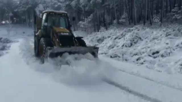 BALIKESİR - Doğada aç kalan sokak hayvanları unutulmadı BALIKESİR - Doğada aç kalan sokak hayvanları unutulmadı