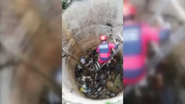 Bodrum'da kuyuya düşen tilki kurtarıldı Bodrum'da kuyuya düşen tilki kurtarıldı