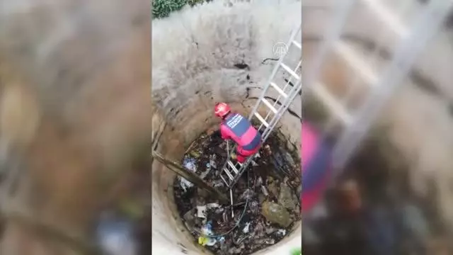 Bodrum'da kuyuya düşen tilki kurtarıldı Bodrum'da kuyuya düşen tilki kurtarıldı