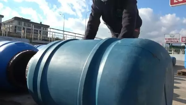 Bu zeytinler sofralara, yuvarlanarak geliyor