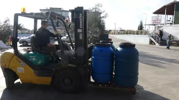 Bu zeytinler sofralara, yuvarlanarak geliyor