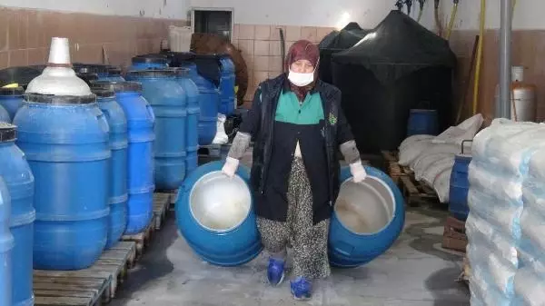 Bu zeytinler sofralara, yuvarlanarak geliyor