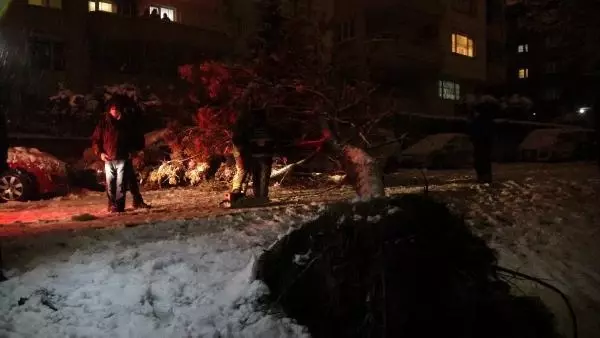 Bursa'da yoğun kar, hayatı olumsuz etkiledi (3) Bursa'da yoğun kar, hayatı olumsuz etkiledi (3)