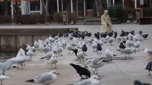 (Drone) Sokağa çıkma kısıtlamasına uyuluyor (Drone) Sokağa çıkma kısıtlamasına uyuluyor