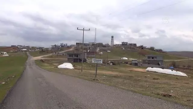 DİYARBAKIR - 6 ayaklı doğan kuzu görenleri şaşırttı DİYARBAKIR - 6 ayaklı doğan kuzu görenleri şaşırttı