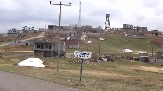 DİYARBAKIR - 6 ayaklı doğan kuzu görenleri şaşırttı DİYARBAKIR - 6 ayaklı doğan kuzu görenleri şaşırttı
