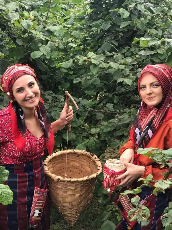 Fındığı tehdit eden 'kahverengi kokarca' böceğini, 'samuray arı' yok edecek Fındığı tehdit eden 'kahverengi kokarca' böceğini, 'samuray arı' yok edecek