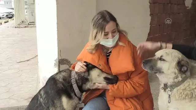 İki arkadaş, sokak sokak dolaşarak hayvanları besliyor İki arkadaş, sokak sokak dolaşarak hayvanları besliyor