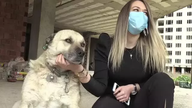 İki arkadaş, sokak sokak dolaşarak hayvanları besliyor İki arkadaş, sokak sokak dolaşarak hayvanları besliyor