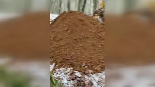 Son dakika... İzinsiz kazı yaptıkları iddiasıyla 11 kişi gözaltına alındı Son dakika... İzinsiz kazı yaptıkları iddiasıyla 11 kişi gözaltına alındı