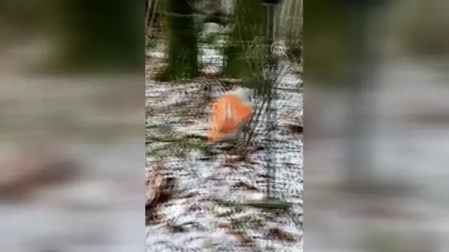 Son dakika... İzinsiz kazı yaptıkları iddiasıyla 11 kişi gözaltına alındı Son dakika... İzinsiz kazı yaptıkları iddiasıyla 11 kişi gözaltına alındı