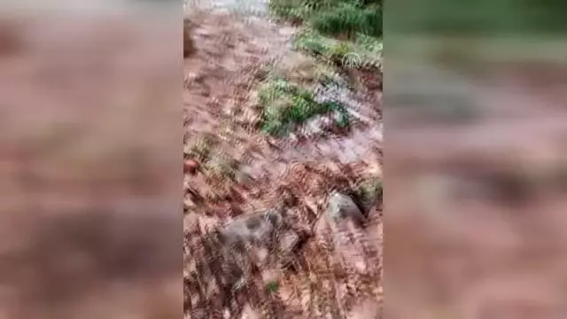 Son dakika... İzinsiz kazı yaptıkları iddiasıyla 11 kişi gözaltına alındı Son dakika... İzinsiz kazı yaptıkları iddiasıyla 11 kişi gözaltına alındı