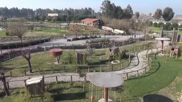 İzmir'de bir çiftlikte aslan yavrusu bulundu İzmir'de bir çiftlikte aslan yavrusu bulundu