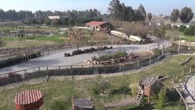 İzmir'de bir çiftlikte aslan yavrusu bulundu İzmir'de bir çiftlikte aslan yavrusu bulundu