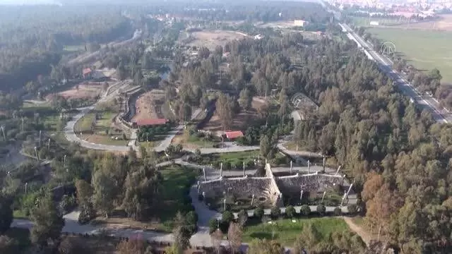 İzmir'de bir çiftlikte aslan yavrusu bulundu İzmir'de bir çiftlikte aslan yavrusu bulundu