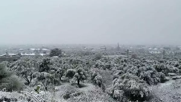 İzmir'de kar yağışı kentte coşku yarattı İzmir'de kar yağışı kentte coşku yarattı