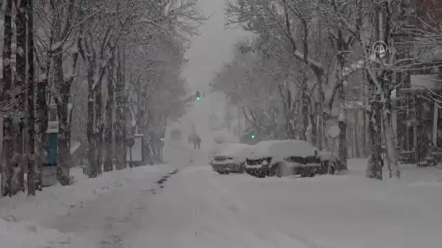 Doğu Anadolu'daki 4 il beyaza büründü