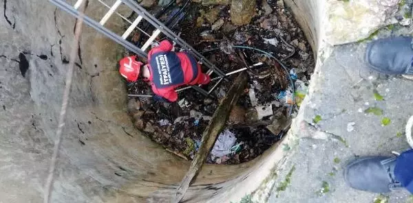 Kuyuya düşen tilki kurtarıldı Kuyuya düşen tilki kurtarıldı