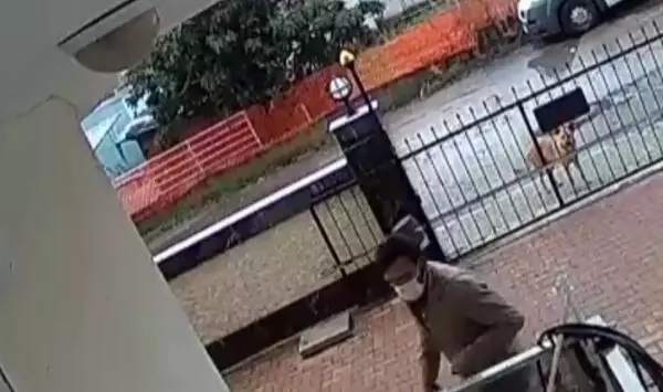 Maskesiz keşif yaptı, ardından maske takıp balkondaki masayı çaldı Maskesiz keşif yaptı, ardından maske takıp balkondaki masayı çaldı