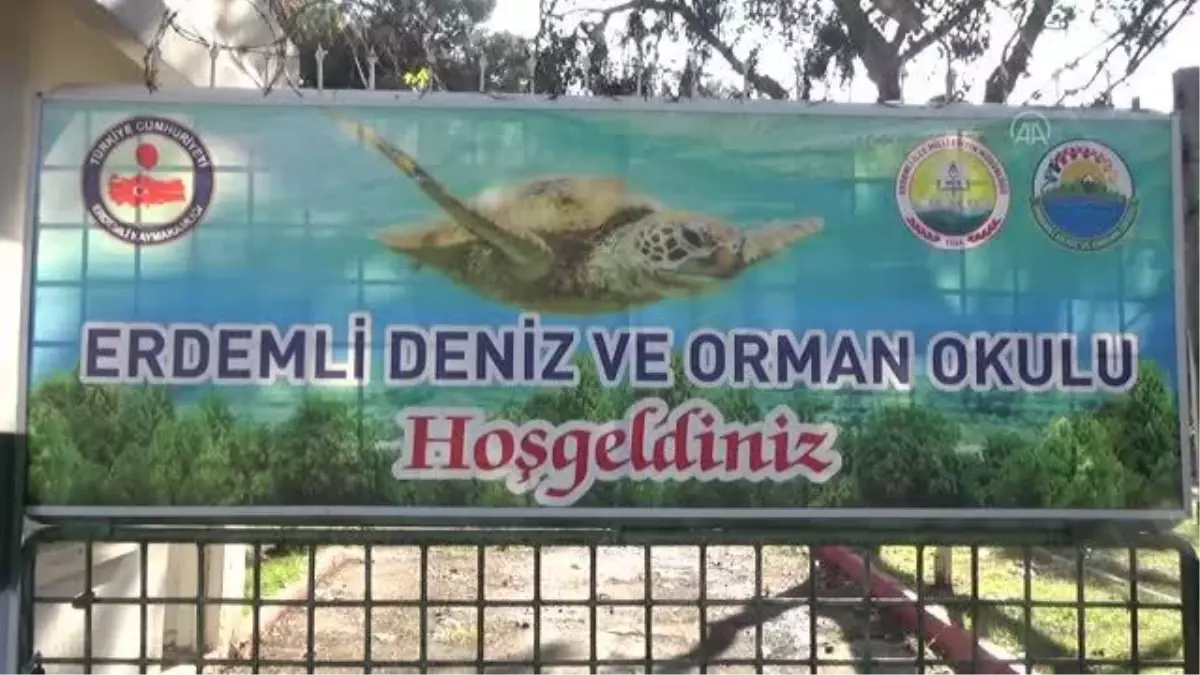 Okul duvarları çocuklar için renklendiriliyor