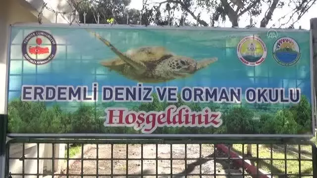 Okul duvarları çocuklar için renklendiriliyor Okul duvarları çocuklar için renklendiriliyor