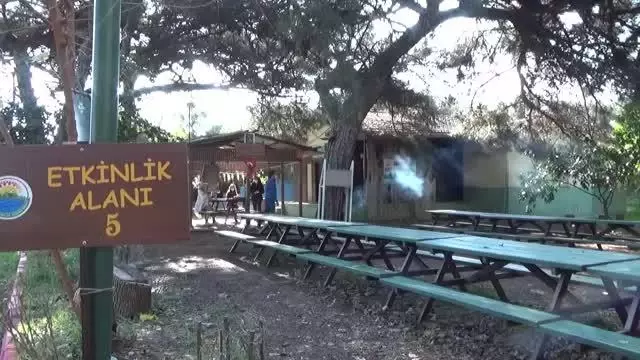 Okul duvarları çocuklar için renklendiriliyor Okul duvarları çocuklar için renklendiriliyor