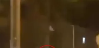 Otomobilin, ahırdan kaçan at ile yavrusuna çarptığı kaza kamerada