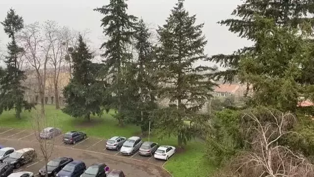 Paris beyaza büründü Paris beyaza büründü