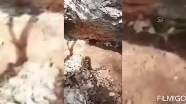 PKK'lı teröristlerce kullanılan 4 sığınak imha edildi PKK'lı teröristlerce kullanılan 4 sığınak imha edildi