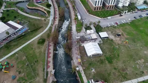 Şelalede ölen balıklar denizde martılara yem oldu Şelalede ölen balıklar denizde martılara yem oldu