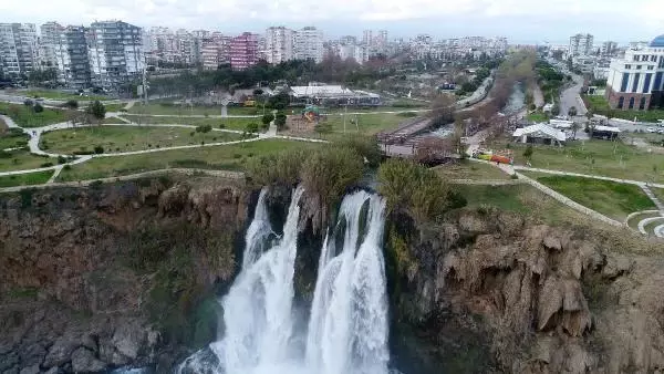 Şelalede ölen balıklar denizde martılara yem oldu Şelalede ölen balıklar denizde martılara yem oldu