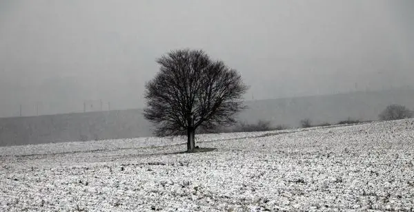 Tekirdağ'ın yüksek kesimlerinde kar yağışı (2) Tekirdağ'ın yüksek kesimlerinde kar yağışı (2)