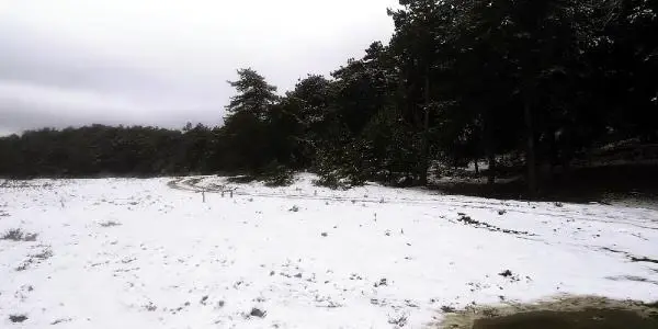 Turgutlu'da kar yağışı etkili oldu Turgutlu'da kar yağışı etkili oldu
