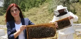 19'u tespiti konusunda bir test ve araştırma yapılması gerekiyor'