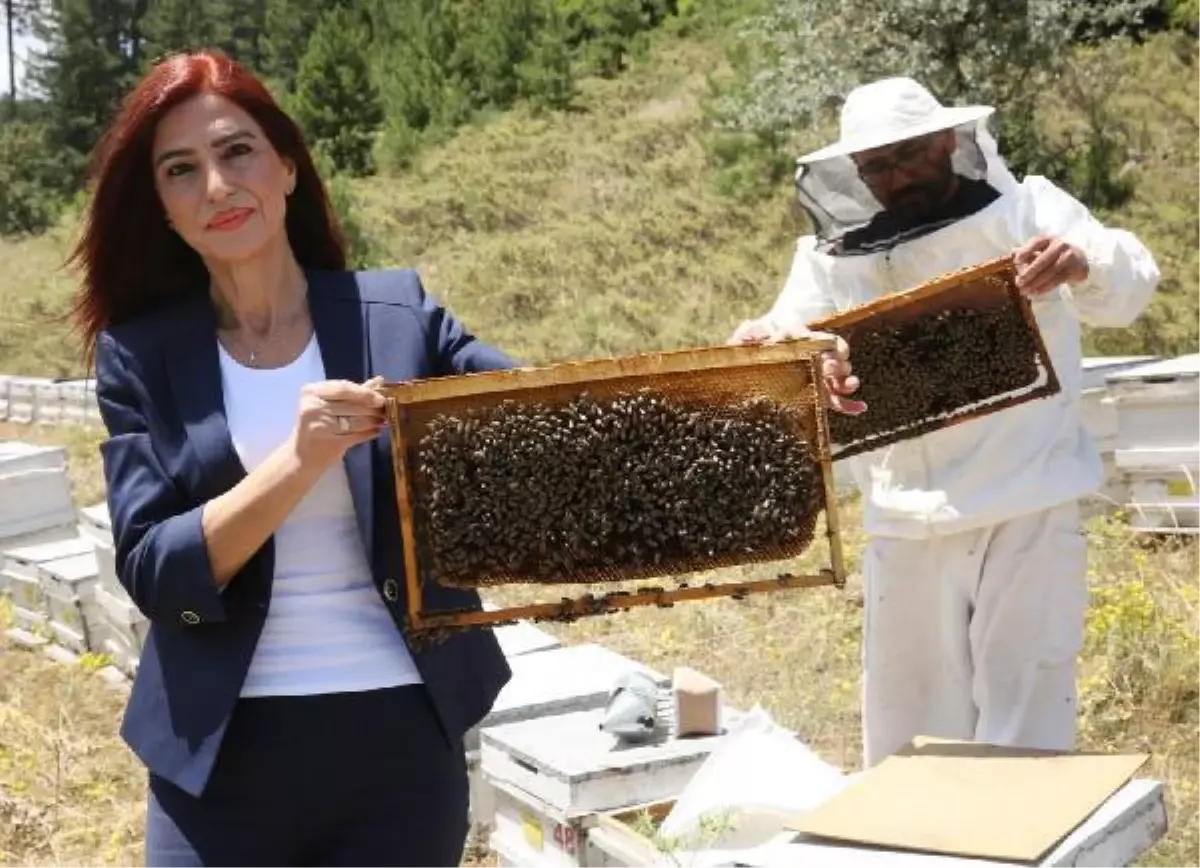 19'u tespiti konusunda bir test ve araştırma yapılması gerekiyor'