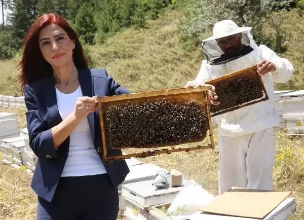 19'u tespiti konusunda bir test ve araştırma yapılması gerekiyor' 19'u tespiti konusunda bir test ve araştırma yapılması gerekiyor'