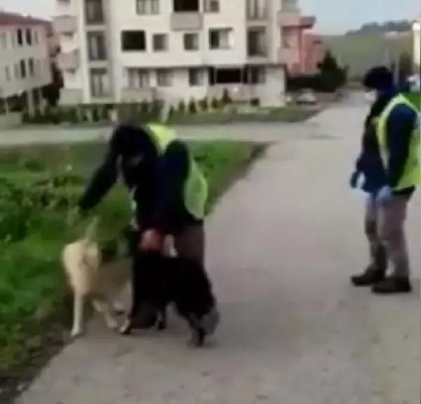 KOCAELİ'nin Darıca Belediyesi'nde görevli bir işçisinin, beslediği sokak köpekleriyle oynadığı anların görüntüsü yürekleri ısıttı. KOCAELİ'nin Darıca Belediyesi'nde görevli bir işçisinin, beslediği sokak köpekleriyle oynadığı anların görüntüsü yürekleri ısıttı.