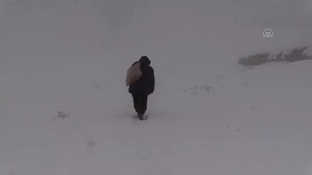 Dağ köylerinde yaşayan besicilerin zorlu mesaisi Dağ köylerinde yaşayan besicilerin zorlu mesaisi