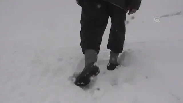 Dağ köylerinde yaşayan besicilerin zorlu mesaisi Dağ köylerinde yaşayan besicilerin zorlu mesaisi
