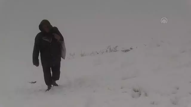 Dağ köylerinde yaşayan besicilerin zorlu mesaisi Dağ köylerinde yaşayan besicilerin zorlu mesaisi