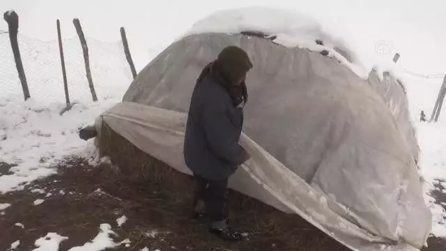 Dağ köylerinde yaşayan besicilerin zorlu mesaisi Dağ köylerinde yaşayan besicilerin zorlu mesaisi