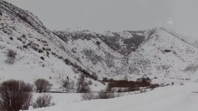 Dere ve nehirlerin yüzeyi buz tuttu Dere ve nehirlerin yüzeyi buz tuttu