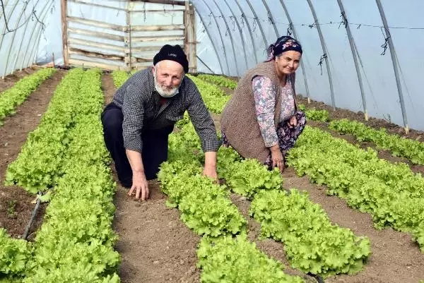 Edirneli sebze üreticileri seralarda dona karşı önlem alıyor Edirneli sebze üreticileri seralarda dona karşı önlem alıyor