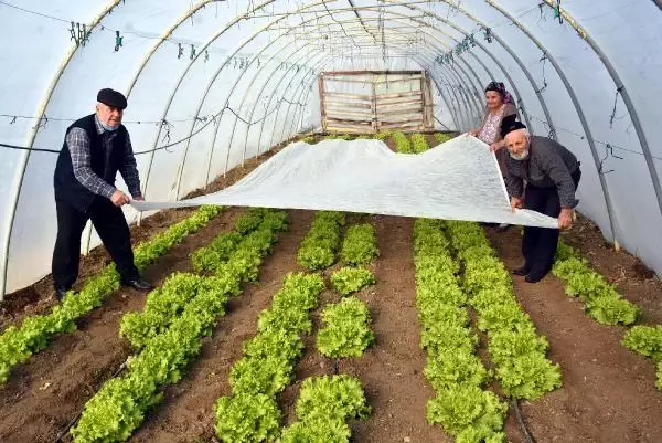 Edirneli sebze üreticileri seralarda dona karşı önlem alıyor Edirneli sebze üreticileri seralarda dona karşı önlem alıyor